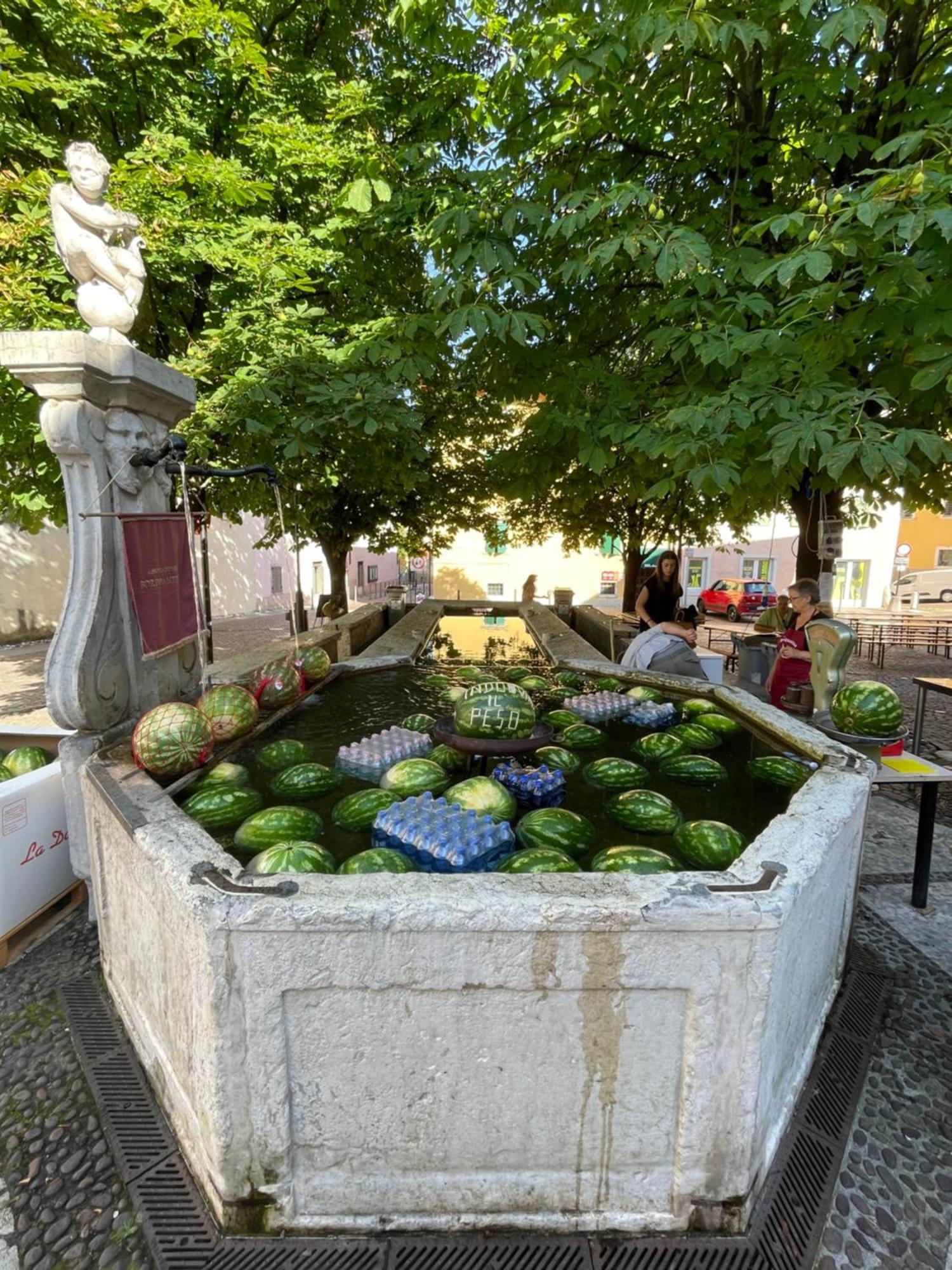 Casetta Alla Fontana Villa Lagarina Exterior foto